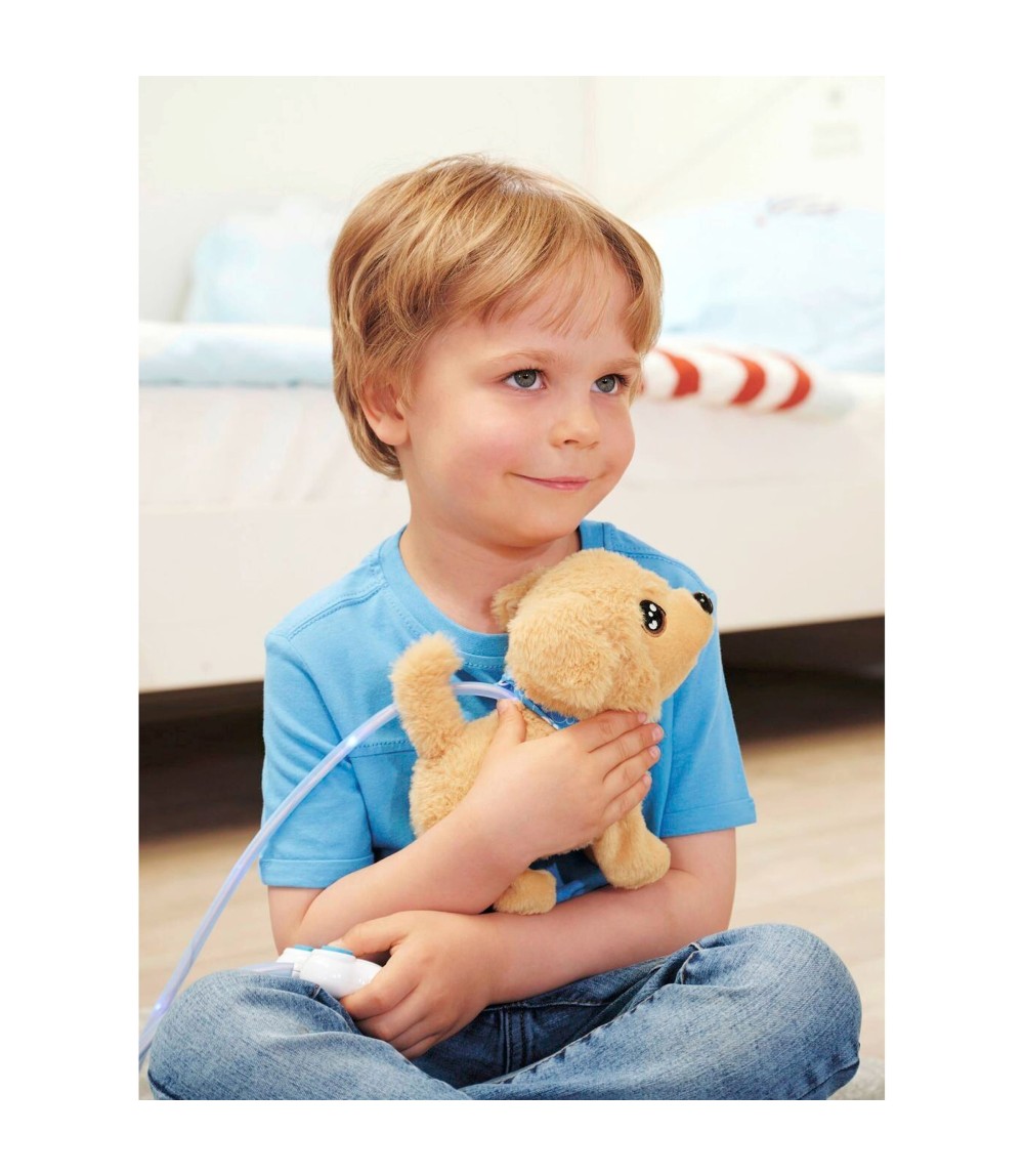 Loomy - Golden Retriever