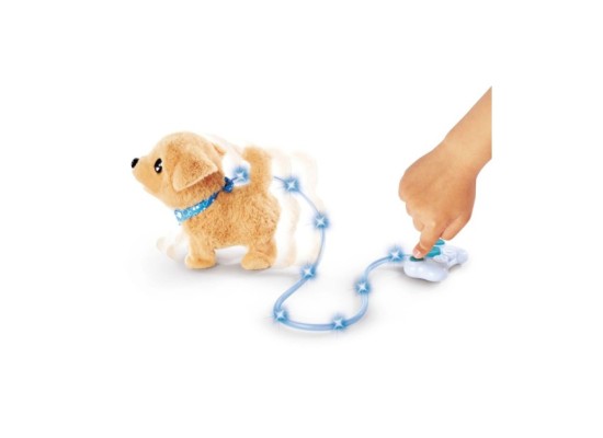 Loomy - Golden Retriever