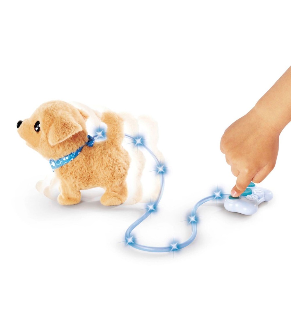 Loomy - Golden Retriever