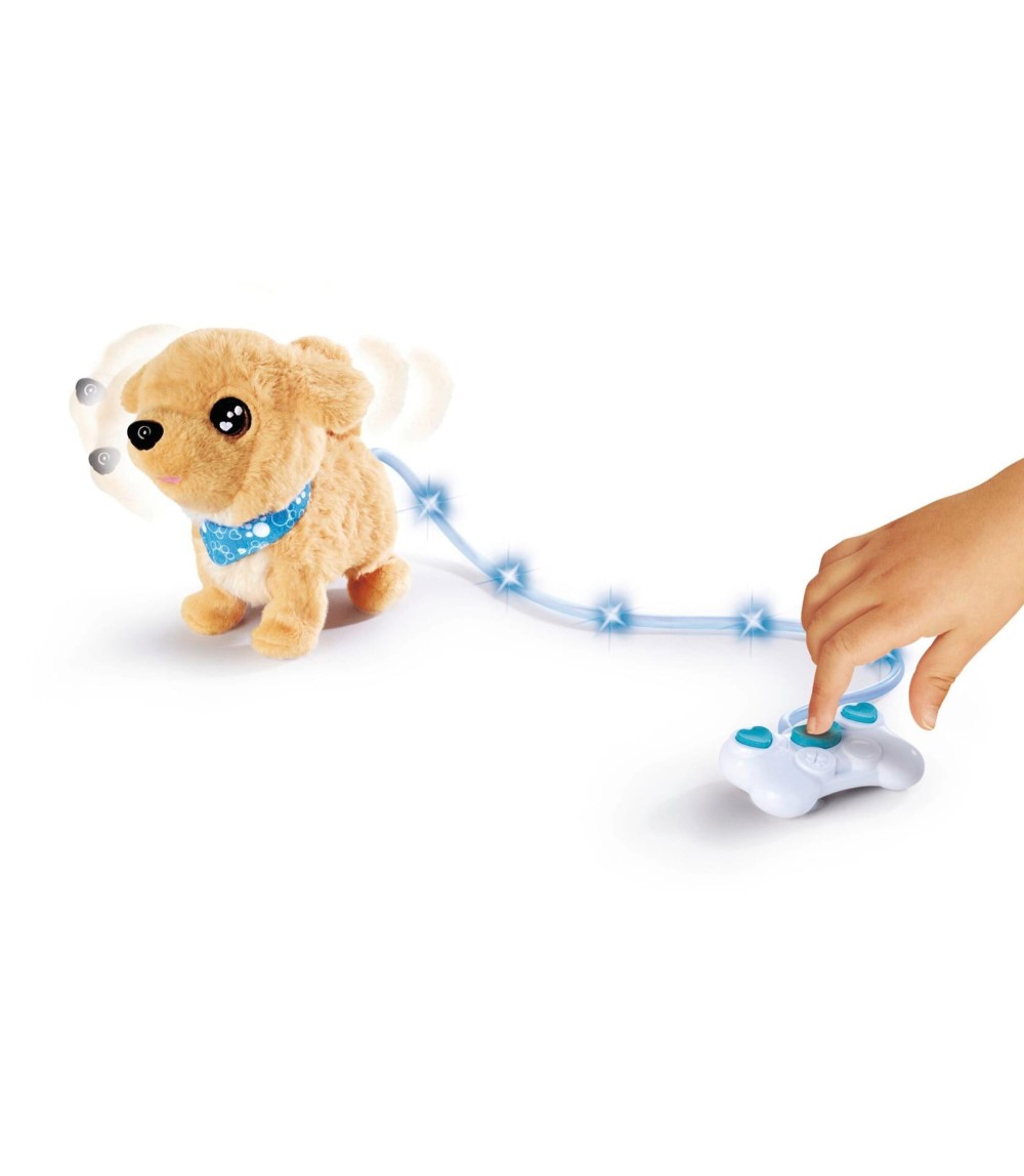 Loomy - Golden Retriever