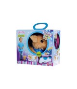 Loomy - Golden Retriever