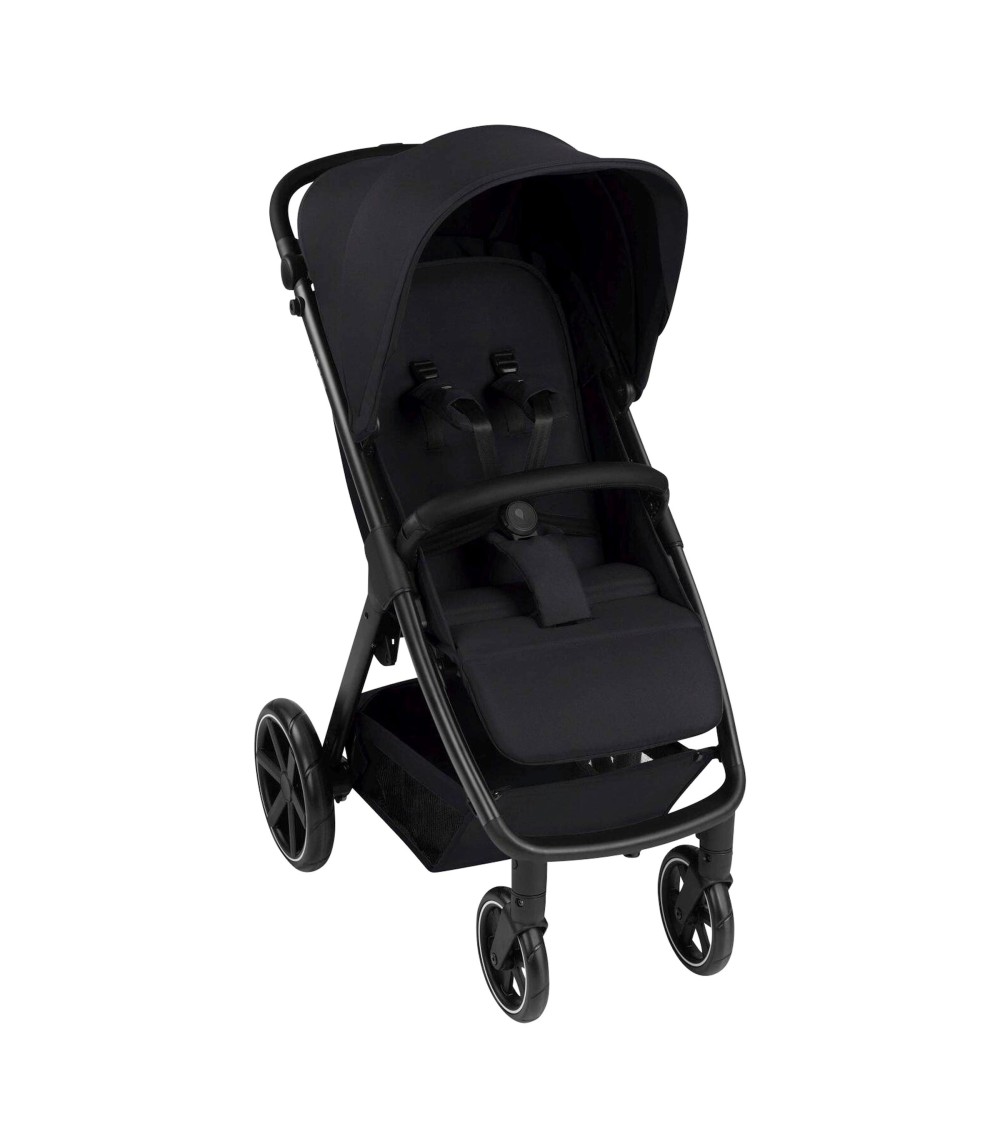 Buggy Avus 2