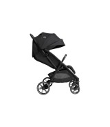 Buggy Parcel LX