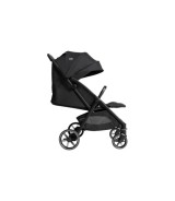 Buggy Parcel LX