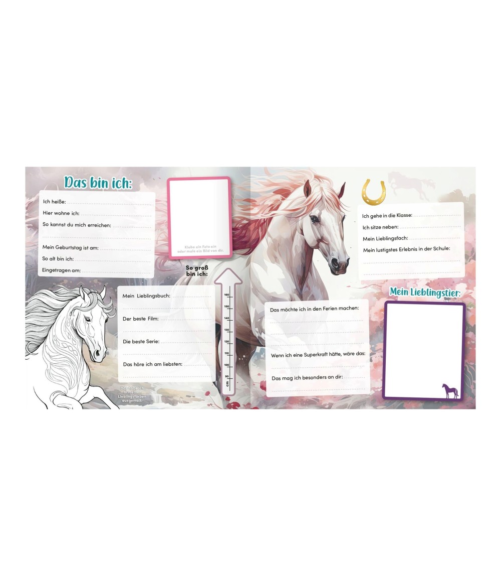 Freundebuch Meine Schulfreunde: Pferde