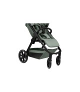 Buggy Avus 2