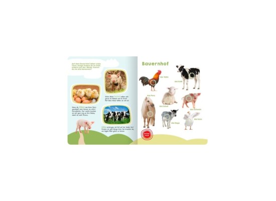 Soundbilderbuch Mein großes Buch der Tiergeräusche