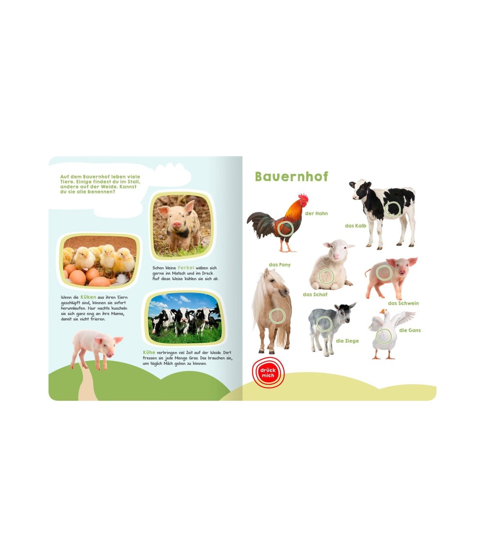 Soundbilderbuch Mein großes Buch der Tiergeräusche