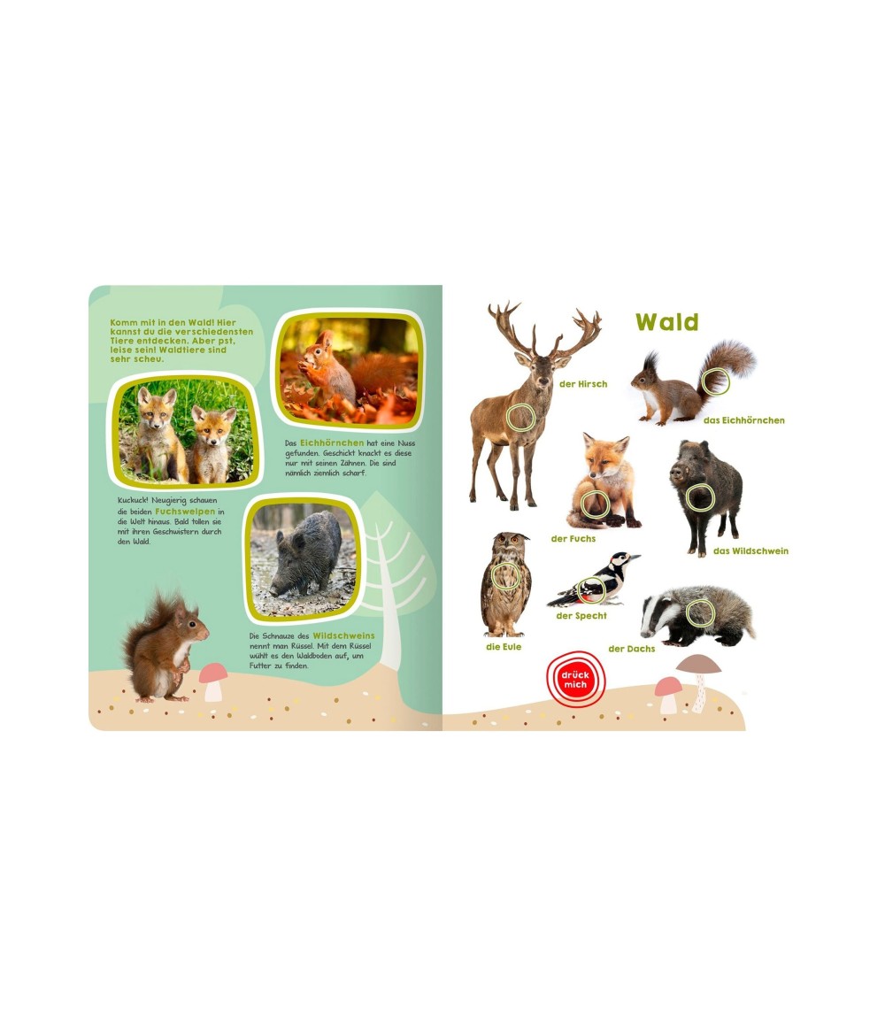 Soundbilderbuch Mein großes Buch der Tiergeräusche