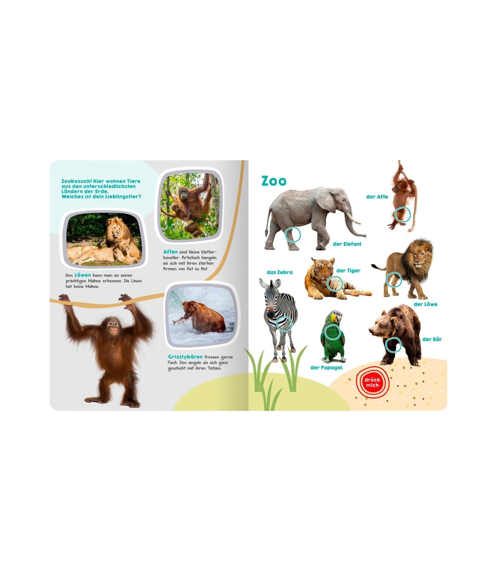 Soundbilderbuch Mein großes Buch der Tiergeräusche
