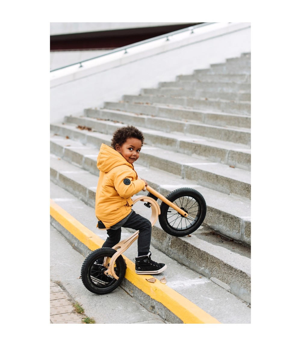 Laufrad Balance Bike 3in1