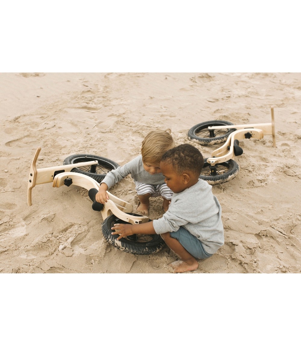 Laufrad Balance Bike 3in1