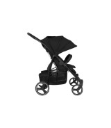 Geschwisterwagen D Two