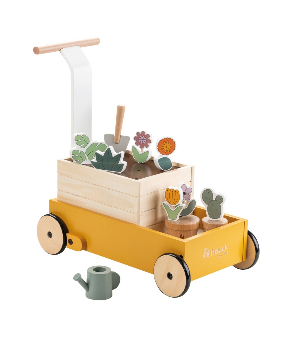 Lauflernwagen Learn to Walk