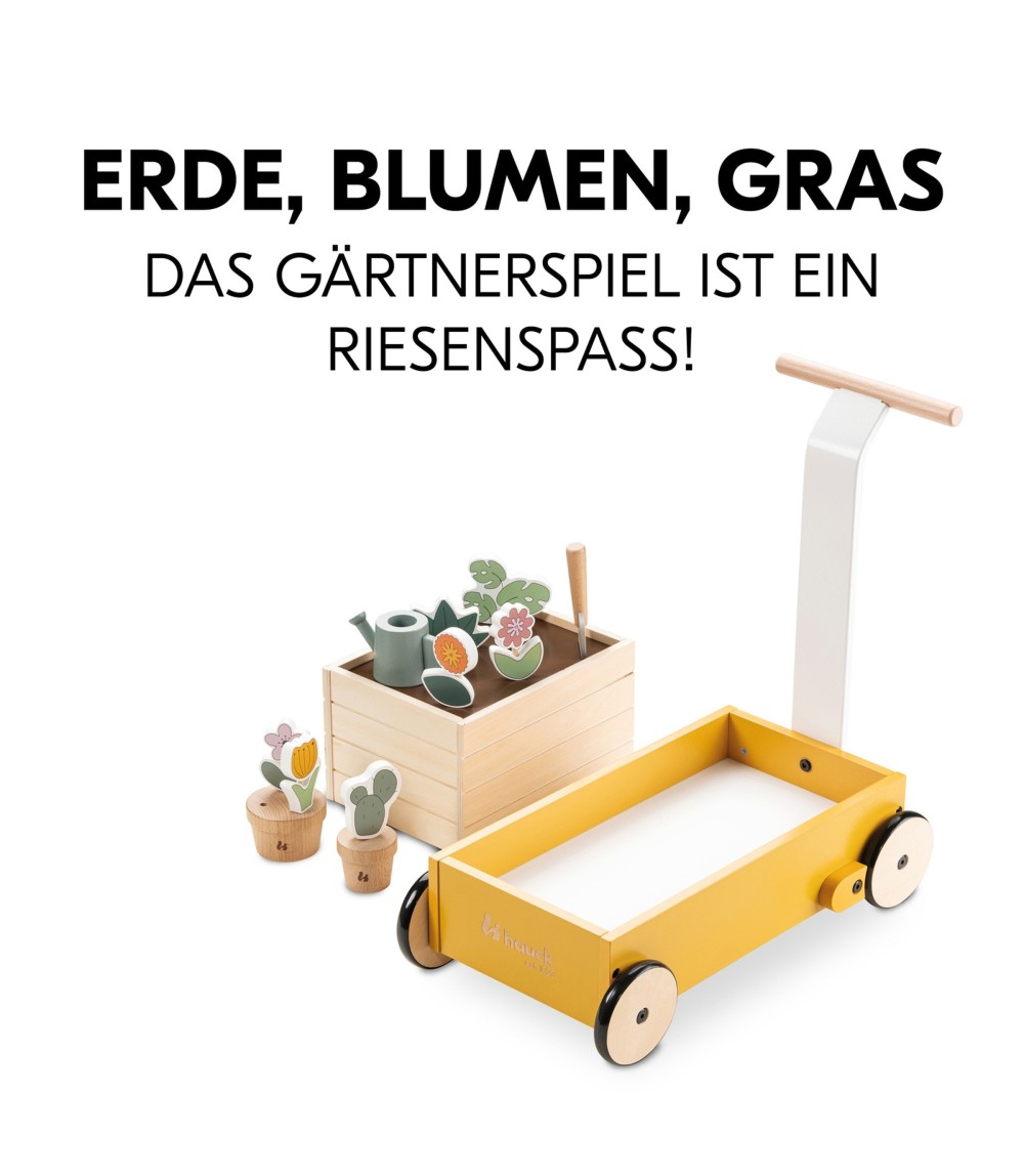 Lauflernwagen Learn to Walk