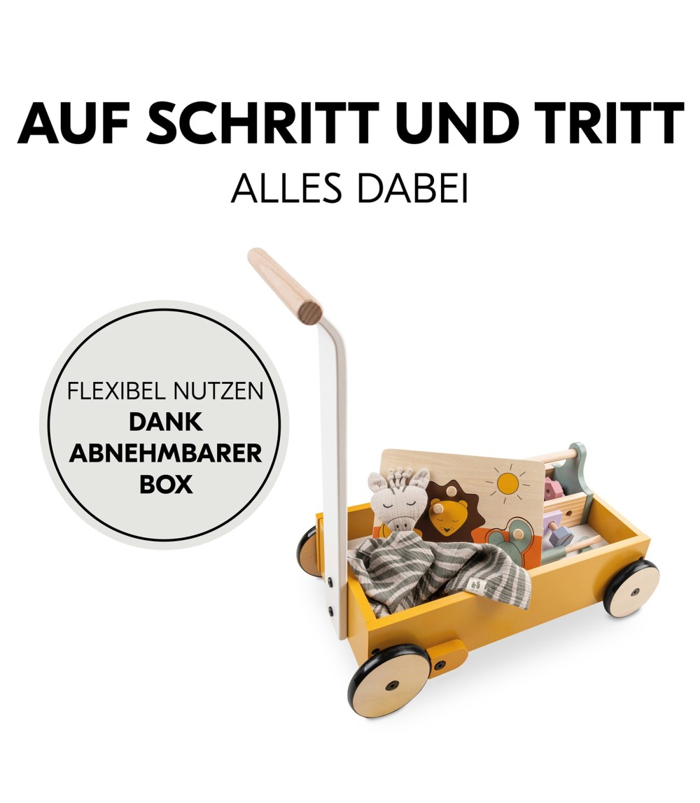 Lauflernwagen Learn to Walk