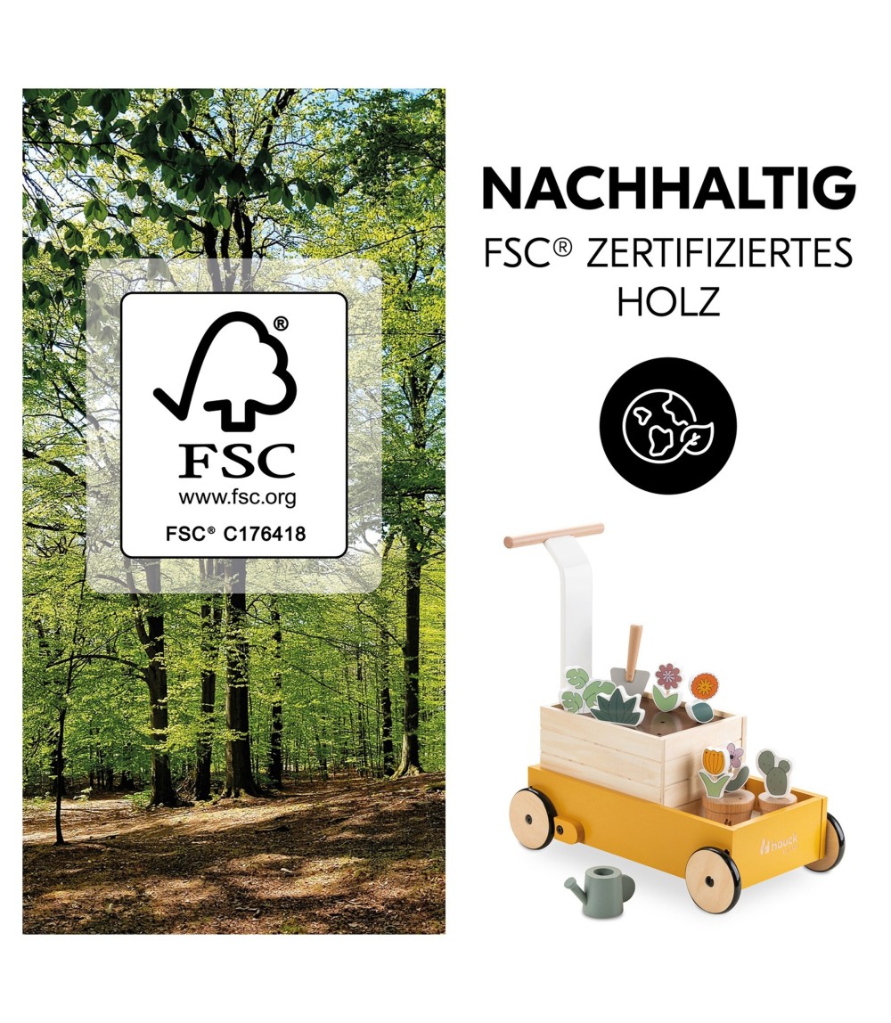 Lauflernwagen Learn to Walk