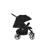 Geschwisterwagen D Two