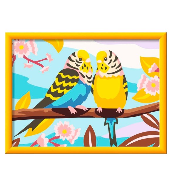 Bunte Wellensittiche