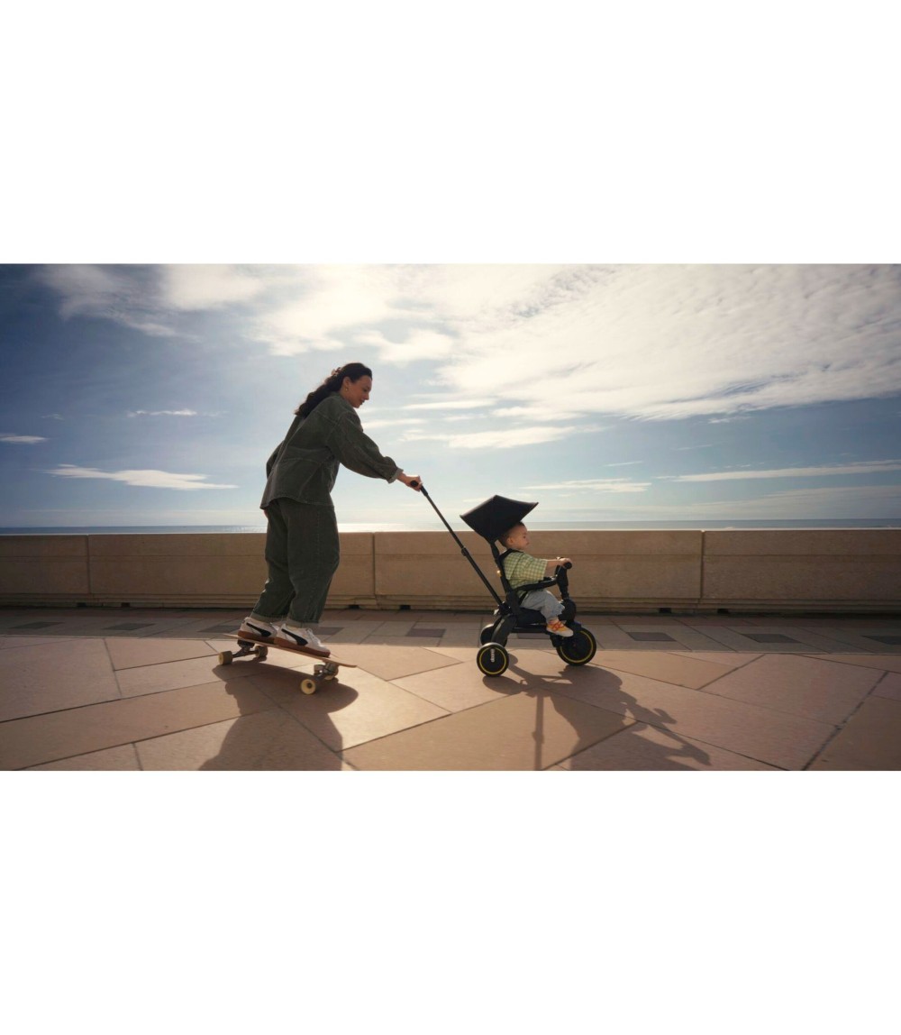 Dreirad Liki Trike S3