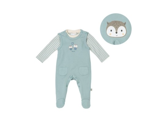 Strampler-Set 2-tlg. mit Shirt Eule Po-Applikation