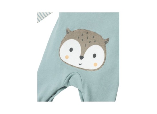 Strampler-Set 2-tlg. mit Shirt Eule Po-Applikation