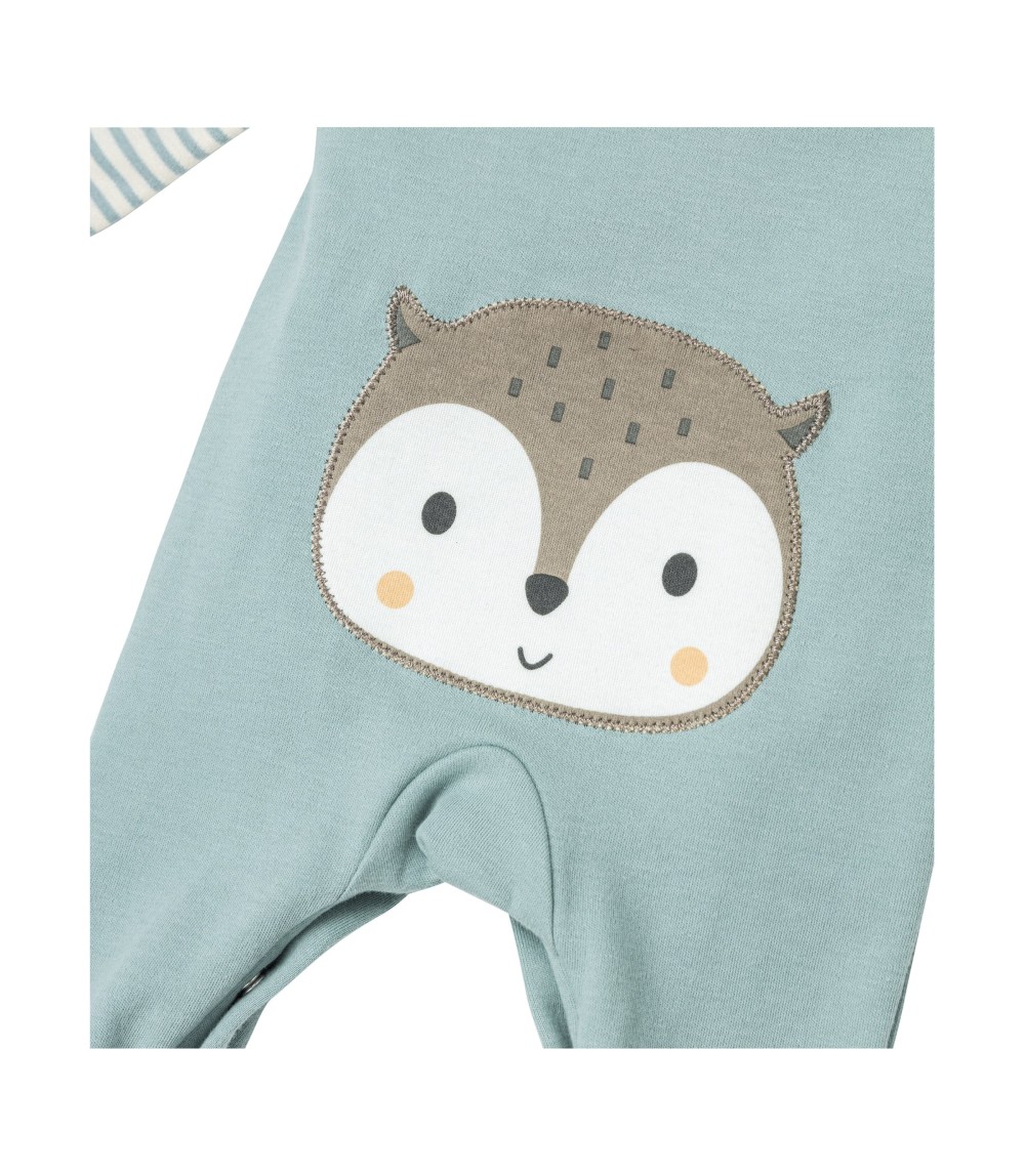 Strampler-Set 2-tlg. mit Shirt Eule Po-Applikation