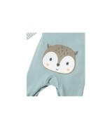 Strampler-Set 2-tlg. mit Shirt Eule Po-Applikation