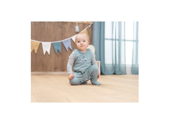 Strampler-Set 2-tlg. mit Shirt Eule Po-Applikation