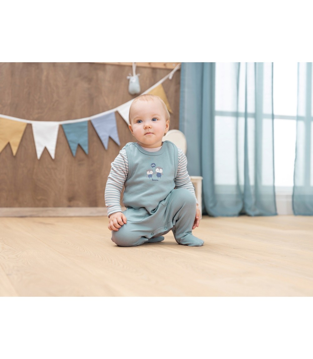 Strampler-Set 2-tlg. mit Shirt Eule Po-Applikation