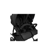 Geschwisterwagen D Two