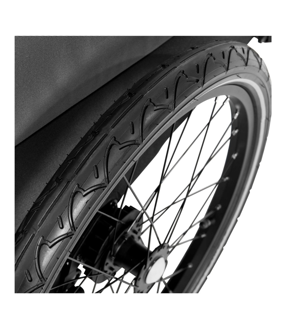 Dryk Duo Fahrradanhänger